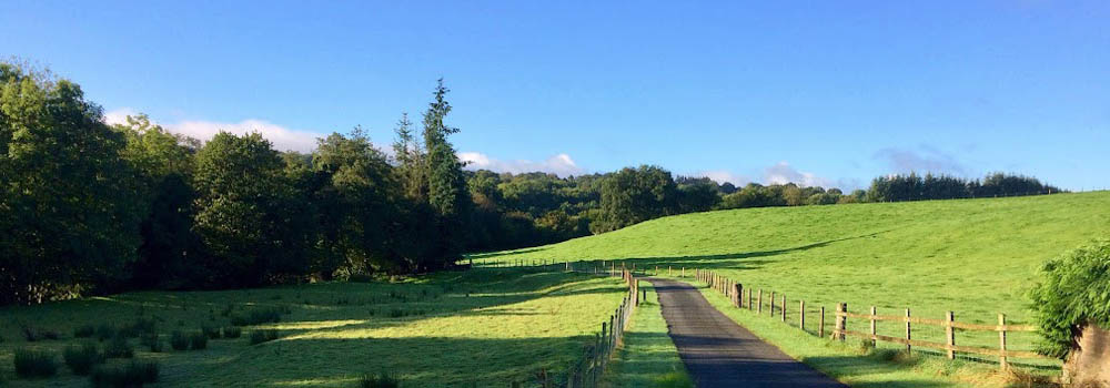 A Tough Webb website image